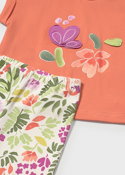 25-01738-034-M-6 (1)